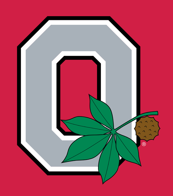 Ohio State Buckeyes 1968-Pres Alternate Logo t shirts DIY iron ons v4